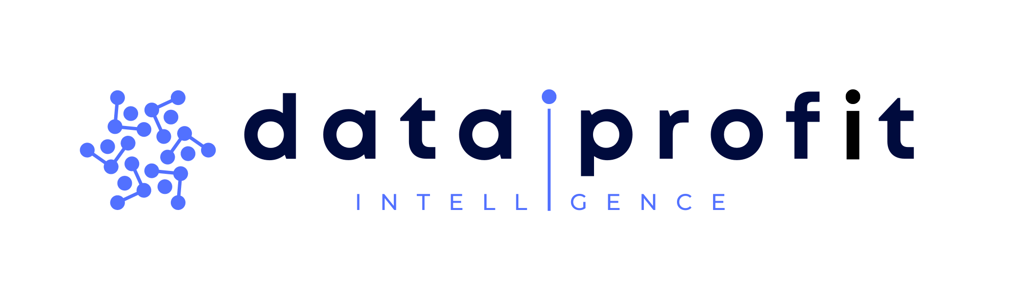 dataiprofit.com Data Intelligence Profit